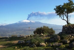 Desde Taormina: Tour en autobús guiado por el Etna