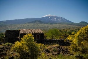 From Taormina: Mount Etna upper craters and Alcantara Gorges