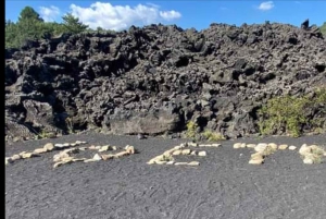 From Taormina, Naxos, & Letojanni: Mount Etna Half-Day Trip