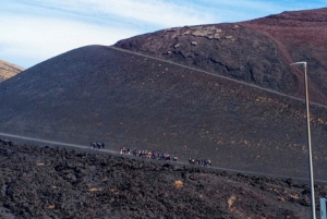 From Taormina, Naxos, & Letojanni: Mount Etna Half-Day Trip