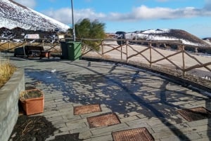 From Taormina, Naxos, & Letojanni: Mount Etna Half-Day Trip