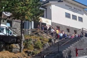 From Taormina, Naxos, & Letojanni: Mount Etna Half-Day Trip