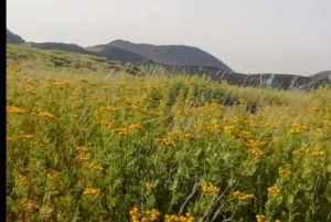 From Taormina, Naxos, & Letojanni: Mount Etna Half-Day Trip