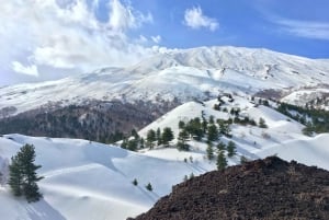 From Taormina or Catania: Full-Day Mount Etna Hike