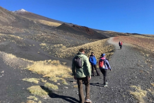 From Taormina or Catania: Private Full-Day Mount Etna Hike