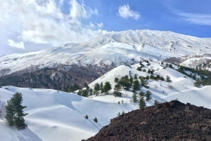 From Taormina or Catania: Private Full-Day Mount Etna Hike