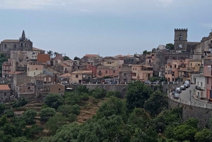 Desde Taormina o el puerto de Mesina: tour privado de El Padrino