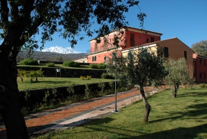 Fra Taormina: Privat 3 Etna-vinerier med mad og vin