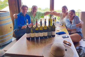 Fra Taormina: Privat 3 Etna-vinerier med mad og vin