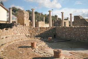 Från Taormina: Templens dal och Piazza Armerina-tur