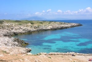 De Trapani: Cruzeiro para Favignana e Levanzo com almoço