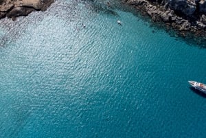 Vanuit Trapani: Dagtocht naar Favignana & Levanzo met lunch