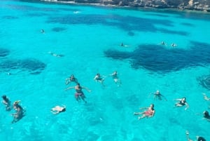 Vanuit Trapani: Dagtocht naar Favignana & Levanzo met lunch