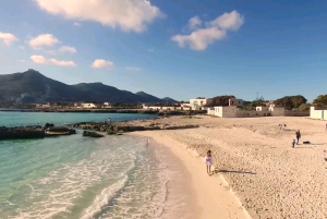 Desde Trapani: Crucero de un día a Favignana y Levanzo con almuerzo
