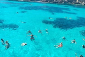 Desde Trapani: Crucero de un día a Favignana y Levanzo con almuerzo