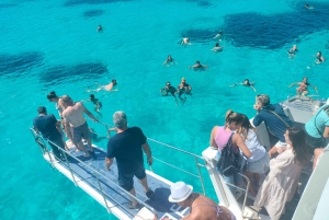 Desde Trapani: Crucero de un día a Favignana y Levanzo con almuerzo