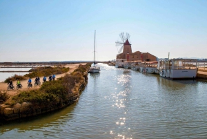 From Trapani: ebike tour to Marsala