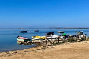 From Trapani: ebike tour to Marsala