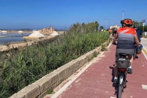 From Trapani: ebike tour to Marsala
