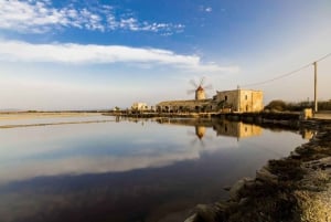 From Trapani: ebike tour to Marsala
