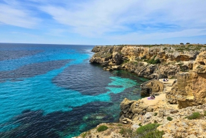 Da Trapani: Tour Isole Egadi in Barca a Favignana e Levanzo con Pranzo