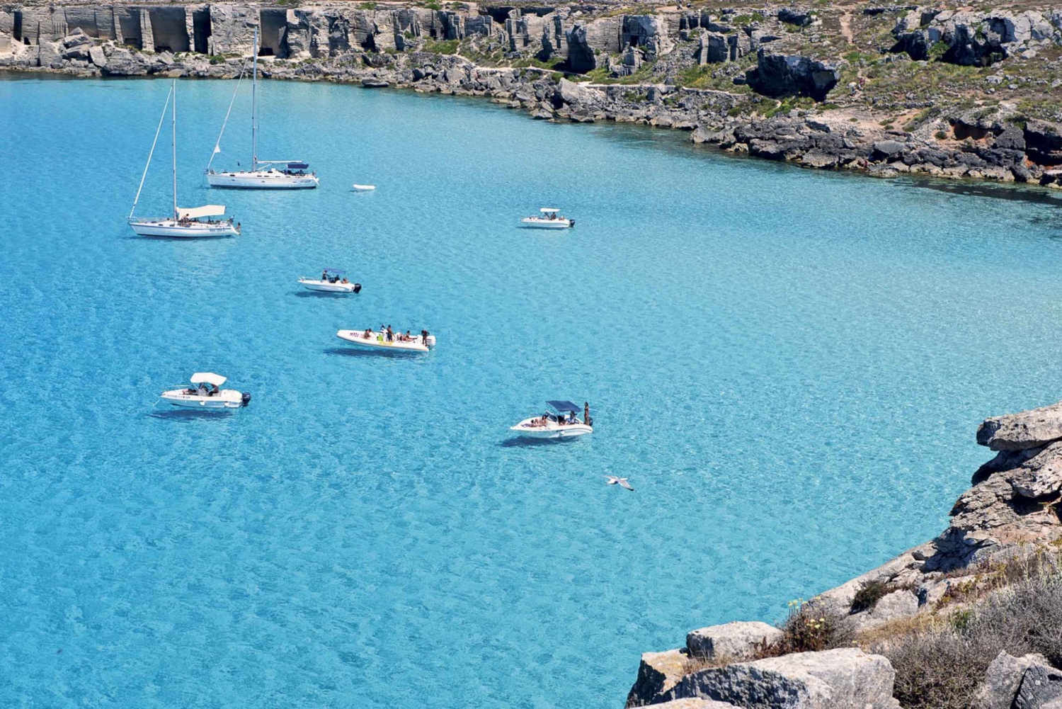 From Trapani: Egadi Islands Day Tour by Boat