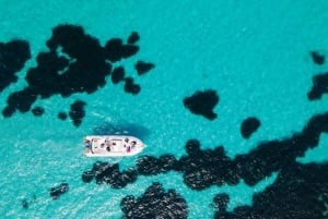 From Trapani: Egadi Islands Favignana & Levanzo Cruise