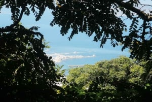 From Trapani: Erice Walking Tour and Local Products Tasting