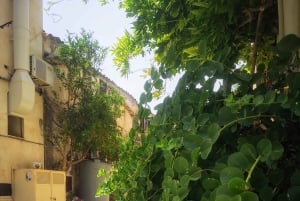 From Trapani: Erice Walking Tour and Local Products Tasting