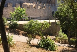 From Trapani: Erice Walking Tour and Local Products Tasting