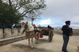 トラーパニ発：エリーチェ散策と特産品試食ツアー