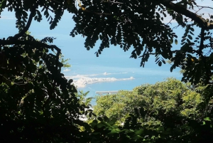 トラーパニ発：エリーチェ散策と特産品試食ツアー