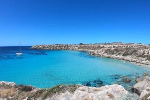 Da Trapani: Tour in barca di Favignana e Levanzo con pranzo