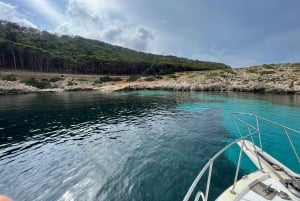 Da Trapani: Tour in barca di Favignana e Levanzo con pranzo