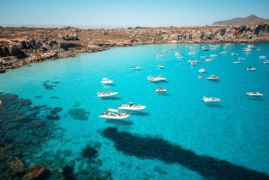 Fra Trapani: Favignana og Levanzo heldagskrydstogt