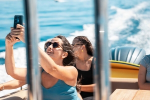 Fra Trapani: Favignana og Levanzo heldagskrydstogt