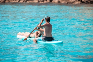 Fra Trapani: Favignana og Levanzo heldagskrydstogt