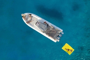 Fra Trapani: Favignana og Levanzo heldagskrydstogt