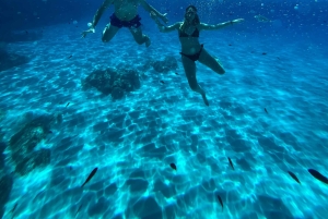 Fra Trapani: Favignana og Levanzo heldagskrydstogt