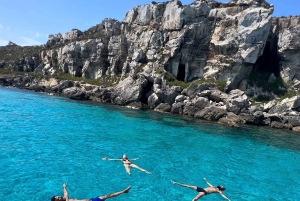 Fra Trapani: Favignana og Levanzo heldagskrydstogt