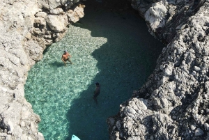 Fra Trapani: Favignana og Levanzo heldagskrydstogt