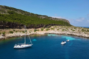 Fra Trapani: Favignana og Levanzo heldagskrydstogt