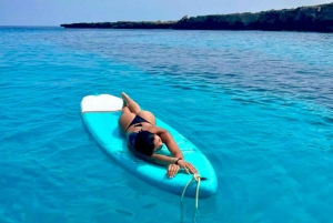 Fra Trapani: Favignana og Levanzo heldagskrydstogt