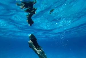 Fra Trapani: Favignana og Levanzo heldagskrydstogt