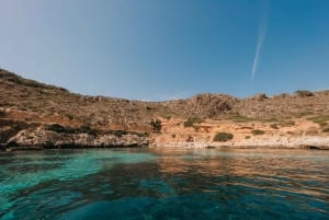 Från Trapani: Heldagstur till Favignana och Levanzo med lunch och aperitif