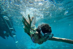 Desde Trapani Crucero de un día por Favignana y la isla de Levanzo