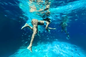 Desde Trapani Crucero de un día por Favignana y la isla de Levanzo