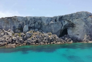 From Trapani: Favignana and Levanzo Mini Cruise with Lunch