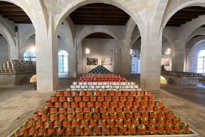 From Trapani: Favignana and Levanzo Mini Cruise with Lunch