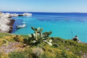 From Trapani: Favignana and Levanzo Mini Cruise with Lunch